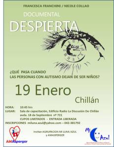afiche promocional DESPIERTA Chillan